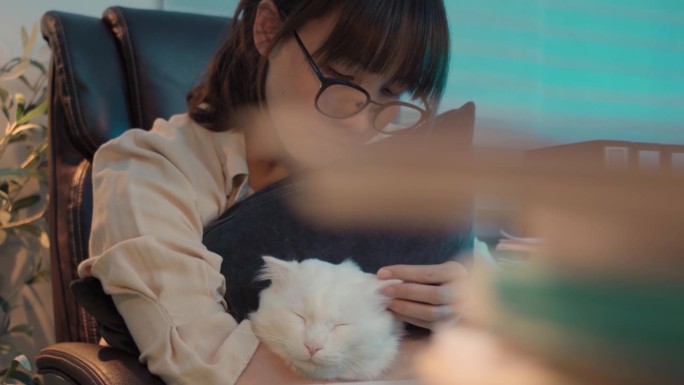 亚洲年轻女子在家里抚摸桌子上的猫，小闺蜜。