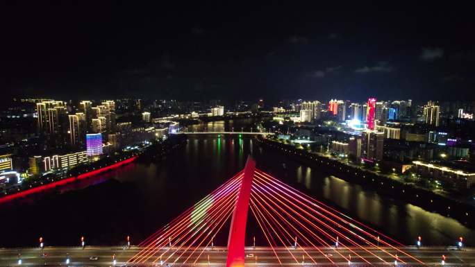 江西赣州飞龙大桥夜景灯光航拍 (7)