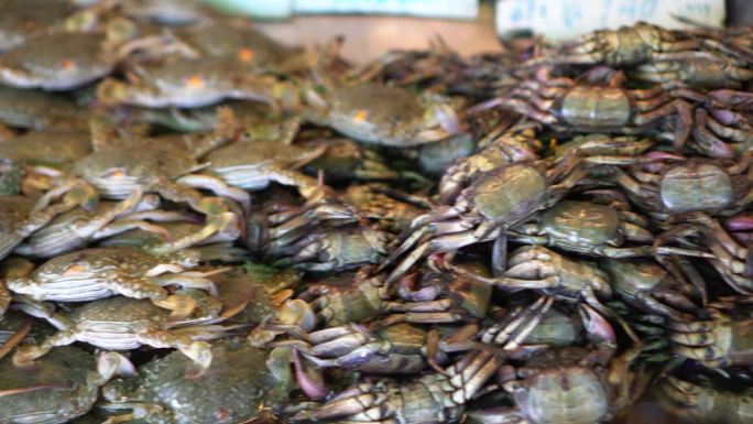 本地菜市场有新鲜的蓝蟹、岩蟹和螳螂虾海鲜出售