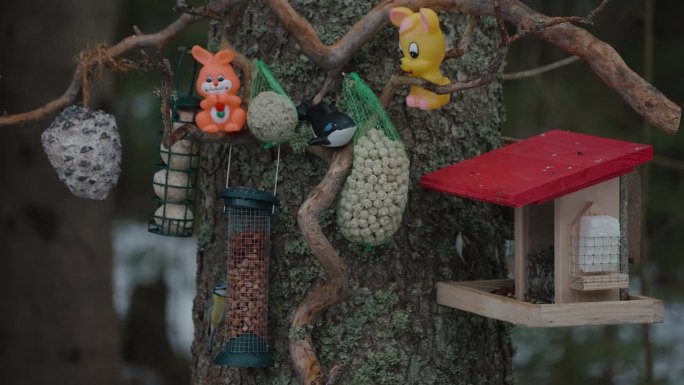 树爬虫玩具挂在树的一边
