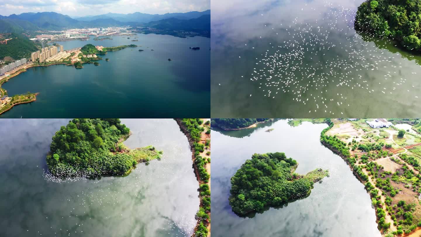 千岛湖美丽的生态环境