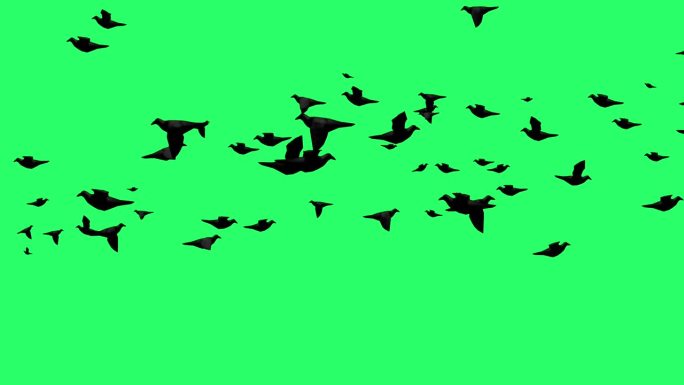 动画黑色乌鸦在绿色背景上飞行。