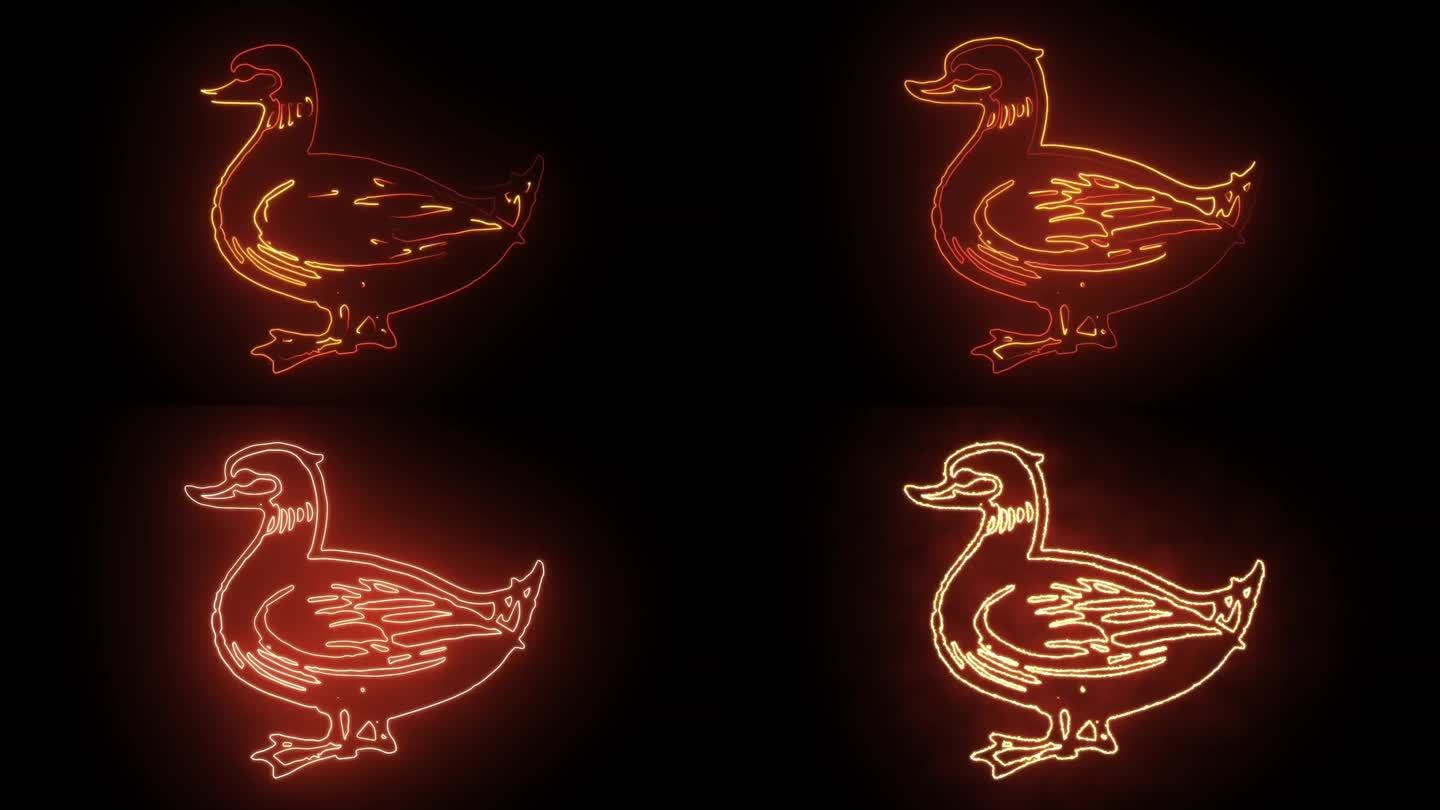 鸭子轮廓描边发光