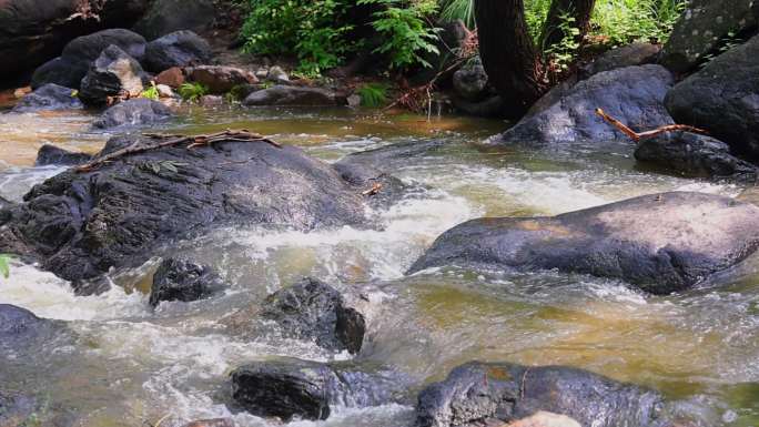 【合集】实拍森林山泉水 溪水 河流