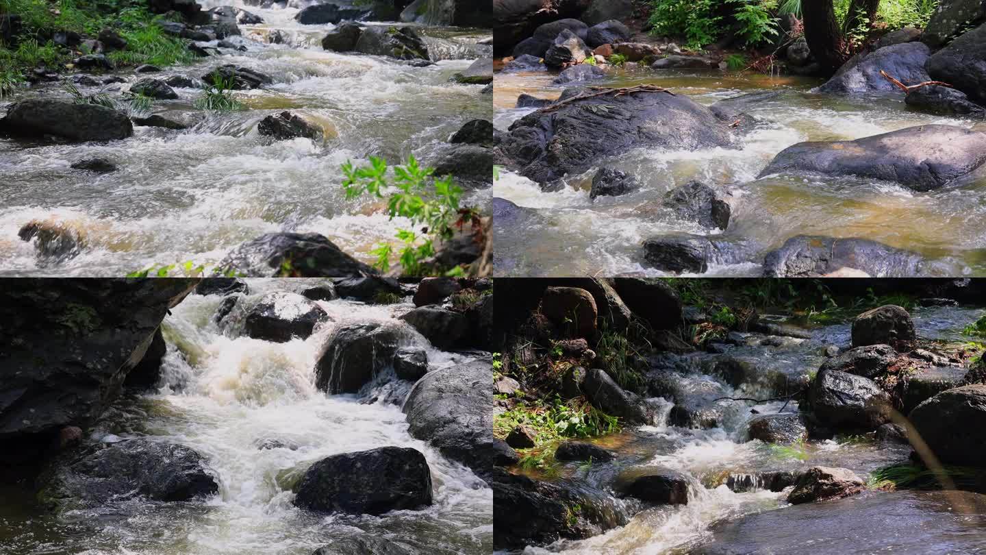 【合集】实拍森林山泉水 溪水 河流