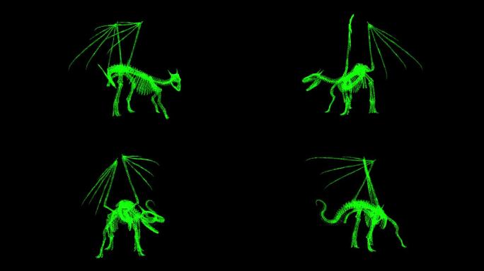 3D龙骨架旋转黑色bg。万圣节的概念。神话般的幻想概念。恐怖、惊悚片。万圣节和感恩节的装饰。用于标题