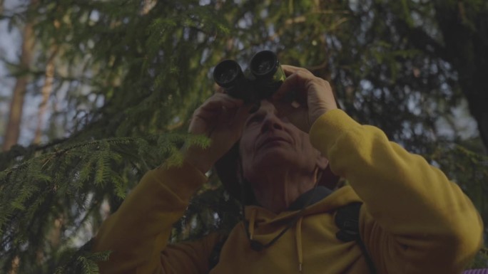 一位老人在森林里用望远镜观察飞鸟