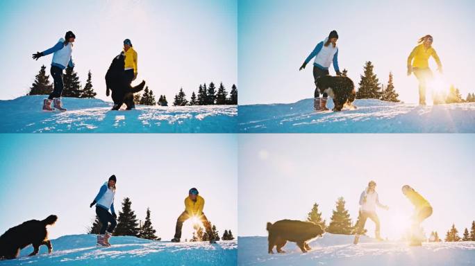 两个女人和她们的狗在雪坡上玩得很开心
