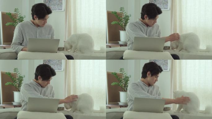 年轻的亚洲男人在家放松工作，带着宠物猫。