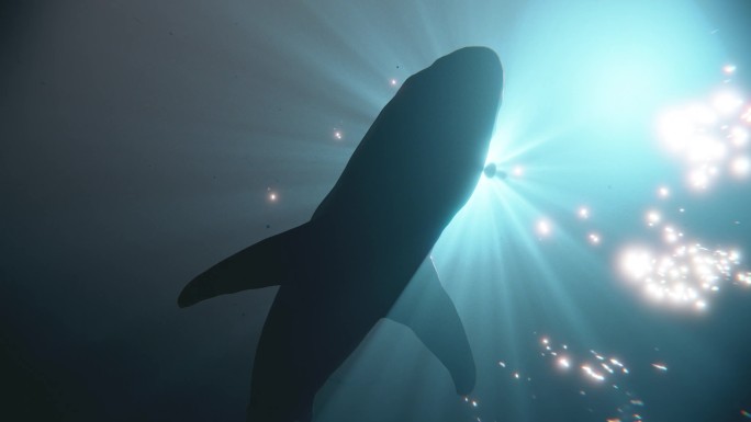 深海鲨鱼头顶游过-梦幻01
