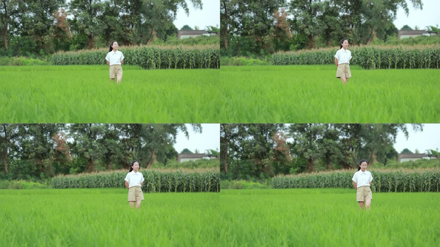 女孩漫步在稻田间