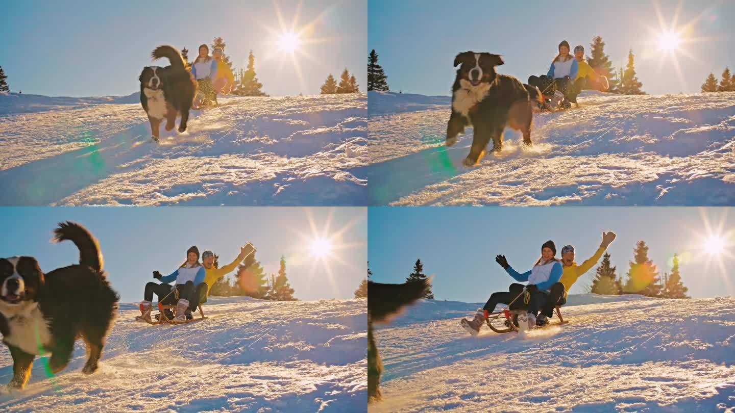 两个女人在雪坡上滑雪橇玩得很开心，她们的狗跟着她们跑