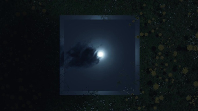 反射月亮和移动的乌云的长方形镜子。被草甸的花朵包围