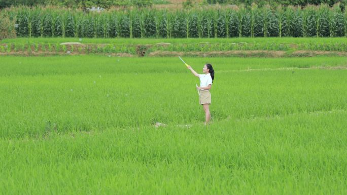 女孩在稻田间吹泡泡