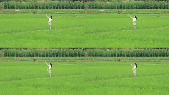 女孩在稻田间吹泡泡