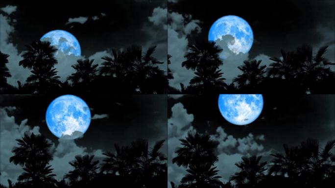 满月的蓝月亮在夜空的灰云和地上棕榈树的剪影中变焦