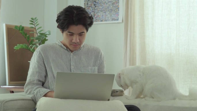 年轻的亚洲男人在家放松工作，带着宠物猫。