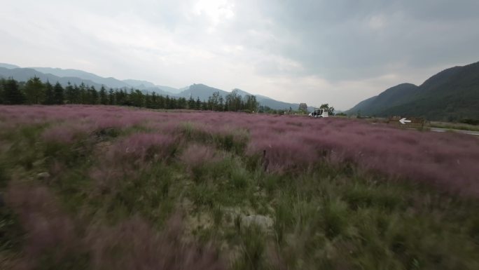 叠石花谷穿越机花海公园