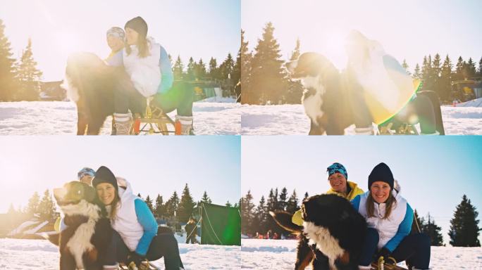 两个女人坐在雪橇上，在雪坡上抚摸她们的狗