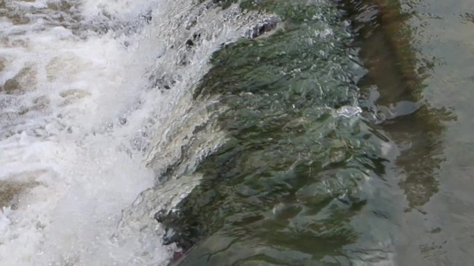 水流溪水小河 自然小溪 河流 浊水山沟水