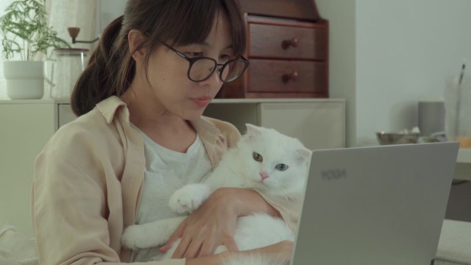 亚洲女性在家放松工作的女性带着宠物猫。