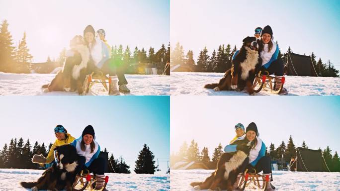 在一个阳光明媚的日子里，两个女人在雪坡上抚摸着她们的狗