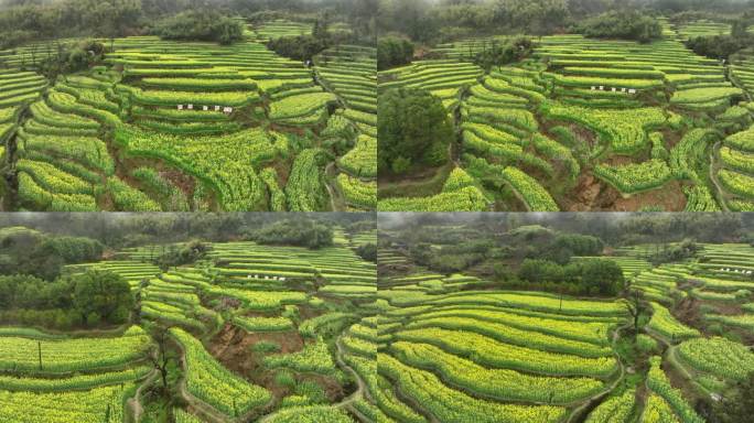 航拍灵山梯田