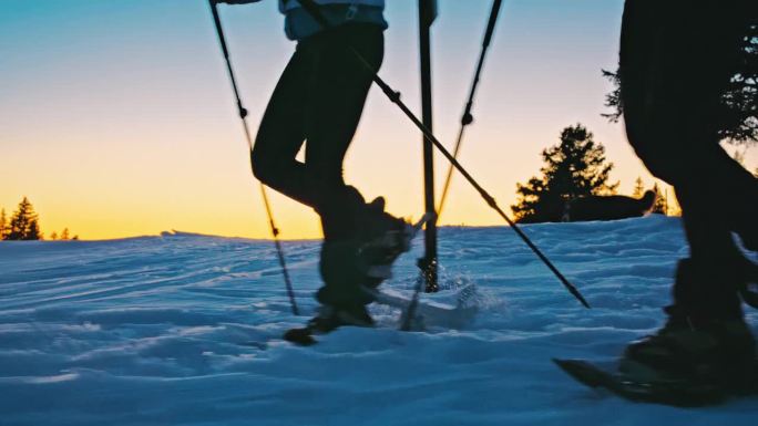 黄昏时分，两名妇女带着她们的狗在冬日乡村的雪地上走雪鞋