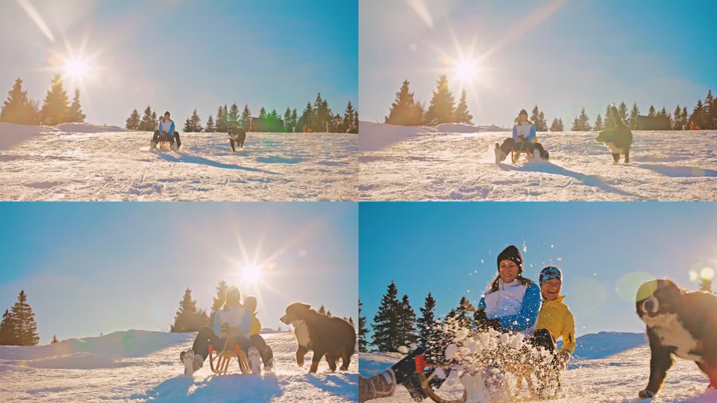 两个女人在雪坡上滑雪橇玩得很开心，她们的狗在后面追着她们