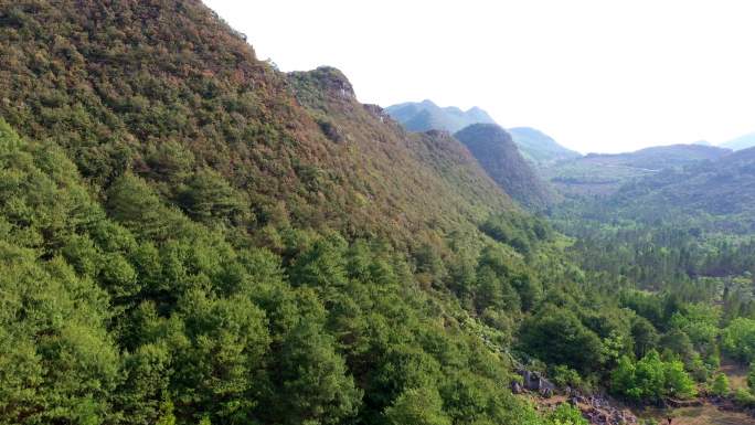 高原红土森林岩溶地貌