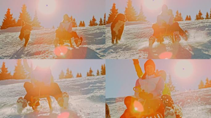两个女人在斜坡上玩雪橇，狗在后面追着她们