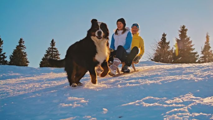 两个女人在雪坡上滑下雪橇玩得很开心，她们的狗在旁边跑着