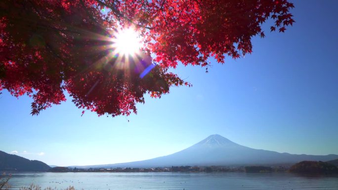 阳光穿过红枫叶与川口湖的富士山