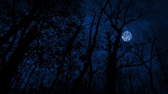 POV可怕的森林与月亮和闪电袭击