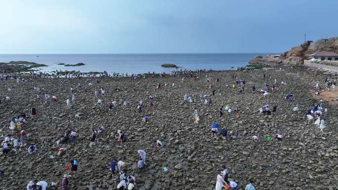 海边赶海的游客