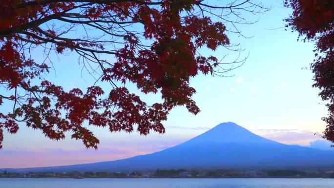 枫叶上的秋叶:黄昏的川口湖与富士山