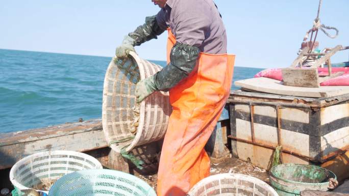4k渔船出海捕捞收获虾虎 皮皮虾