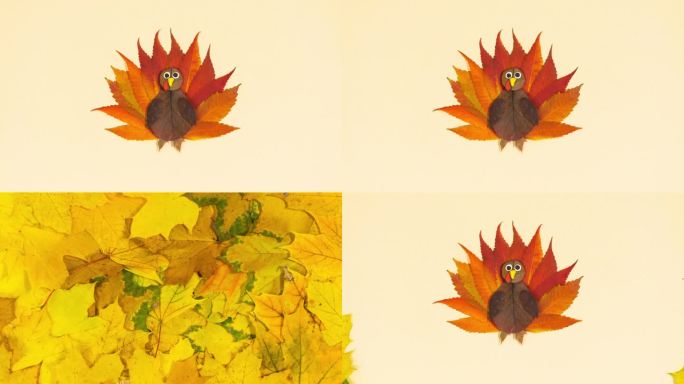 黄色的枫叶打开，露出用红色的秋叶剪成的可爱的火鸡。