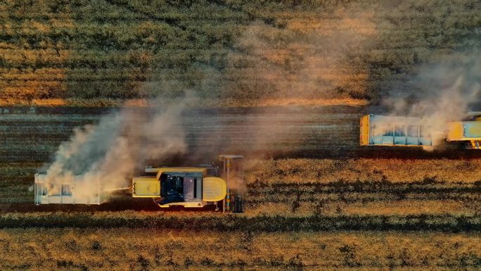 小麦收割鸟瞰图，收割者在小麦、燕麦、黑麦田里、谷物田里劳作，收获季节，农村收割机联合作物农场。农耕农