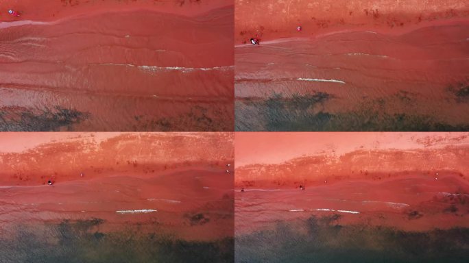 独家版权素材 昆明 粉红沙滩 视频素材