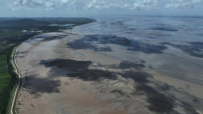 4K航拍梁家墩海宁钱塘江潮大地之树潮汐树