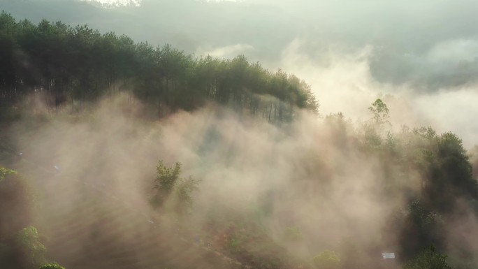 航拍山川 晨雾山林