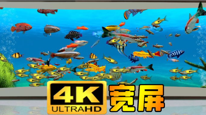 4K宽屏裸眼3D-海底鱼群无缝循环