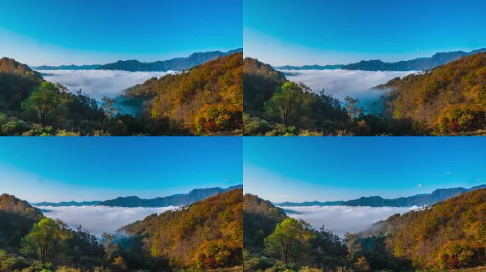 南江·光雾山