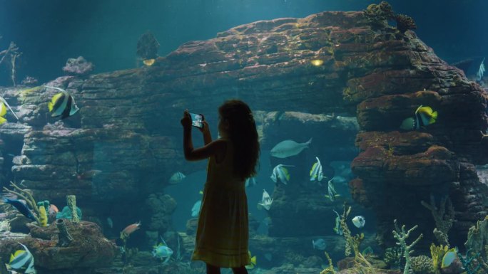 女孩在水族馆里用智能手机拍摄彩色鱼和海洋动物在鱼缸里游泳的照片，好奇的孩子在海洋馆珊瑚礁栖息地观看海