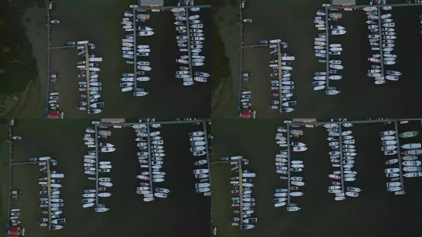 从空中俯瞰的港口和船只在河-贝尔格莱德，塞尔维亚-股票视频