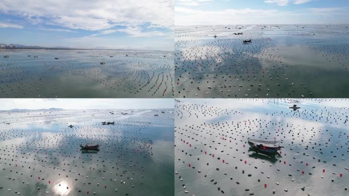 漳州古雷漳浦霞美牡蛎养殖基地海上牧场航拍