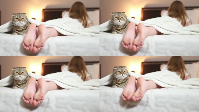 一只猫和一个女孩盖着毯子躺在床上。