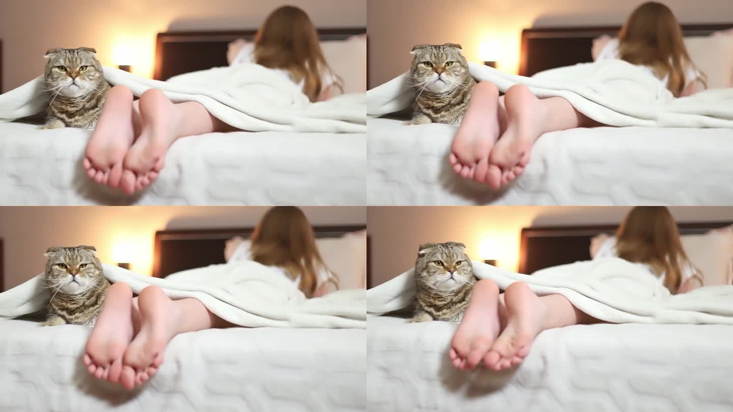 一只猫和一个女孩盖着毯子躺在床上。