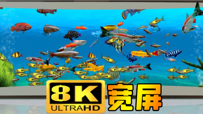 8K宽屏裸眼3D海底鱼群无缝循环